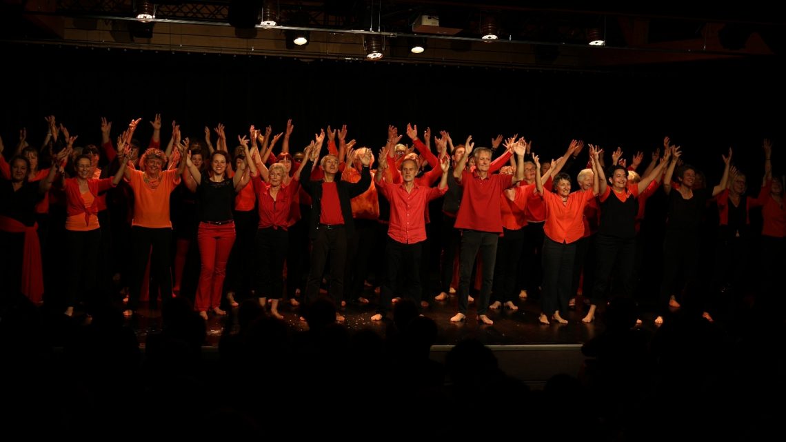 Choristes des Démons du Bémol sur scène